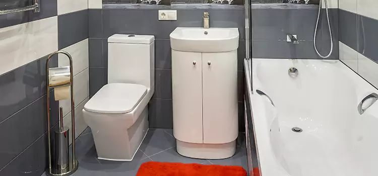 Hansgrohe Shaving Mirror South Portland